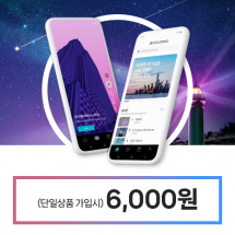 v프로필/v컬러링 단일상품